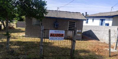 IMG-20241101-WA0005