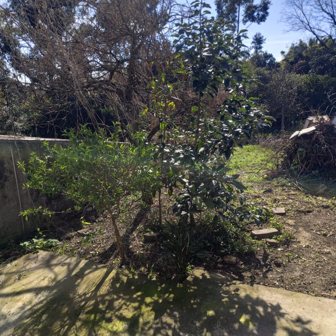 IMG-20250813-WA0032